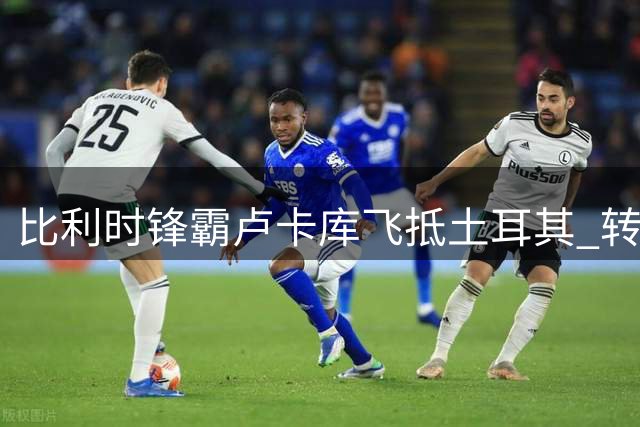 比利时锋霸卢卡库飞抵土耳其 转会费内巴切在即